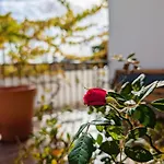 Terraco 26 - 8br Sleeps 22, Garden & Terrace, Near Lisbon & Beaches 빌라 Sobreda