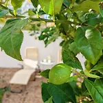 Terraco 26 - 8br Sleeps 22, Garden & Terrace, Near Lisbon & Beaches Villa Sobreda