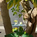 빌라 Terraco 26 - 8br Sleeps 22, Garden & Terrace, Near Lisbon & Beaches