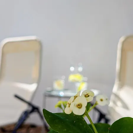 Villa Terraco 26 - 8br Sleeps 22, Garden & Terrace, Near Lisbon & Beaches Sobreda