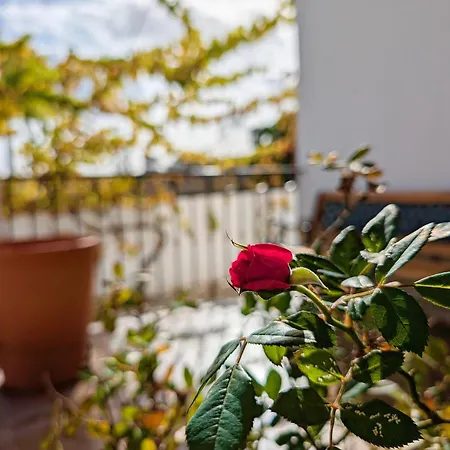 Terraco 26 - 8br Sleeps 22, Garden & Terrace, Near Lisbon & Beaches *