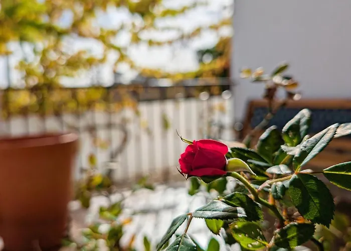 Terraco 26 - 8br Sleeps 22, Garden & Terrace, Near Lisbon & Beaches 别墅 Sobreda