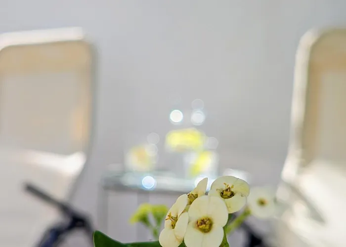 Terraco 26 - 8br Sleeps 22, Garden & Terrace, Near Lisbon & Beaches 别墅
