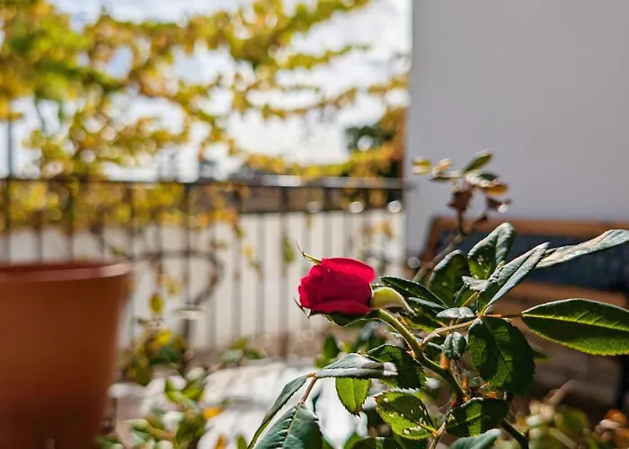 Terraco 26 - 8br Sleeps 22, Garden & Terrace, Near Lisbon & Beaches Sobreda