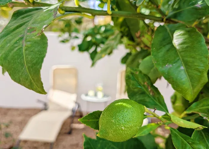 Terraco 26 - 8br Sleeps 22, Garden & Terrace, Near Lisbon & Beaches 别墅 Sobreda