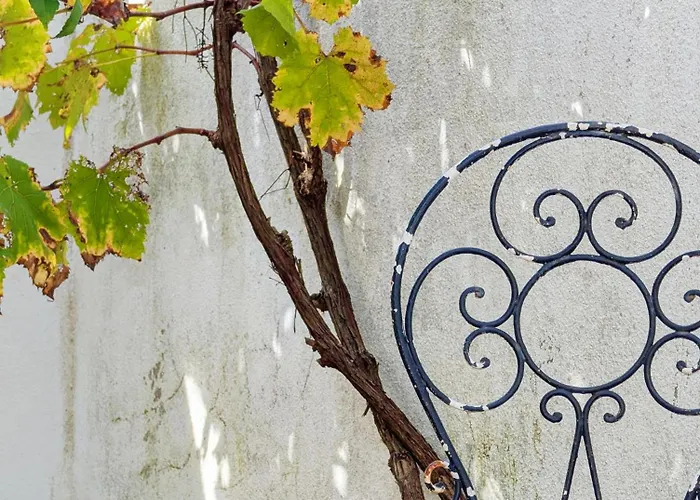 Terraco 26 - 8br Sleeps 22, Garden & Terrace, Near Lisbon & Beaches Sobreda